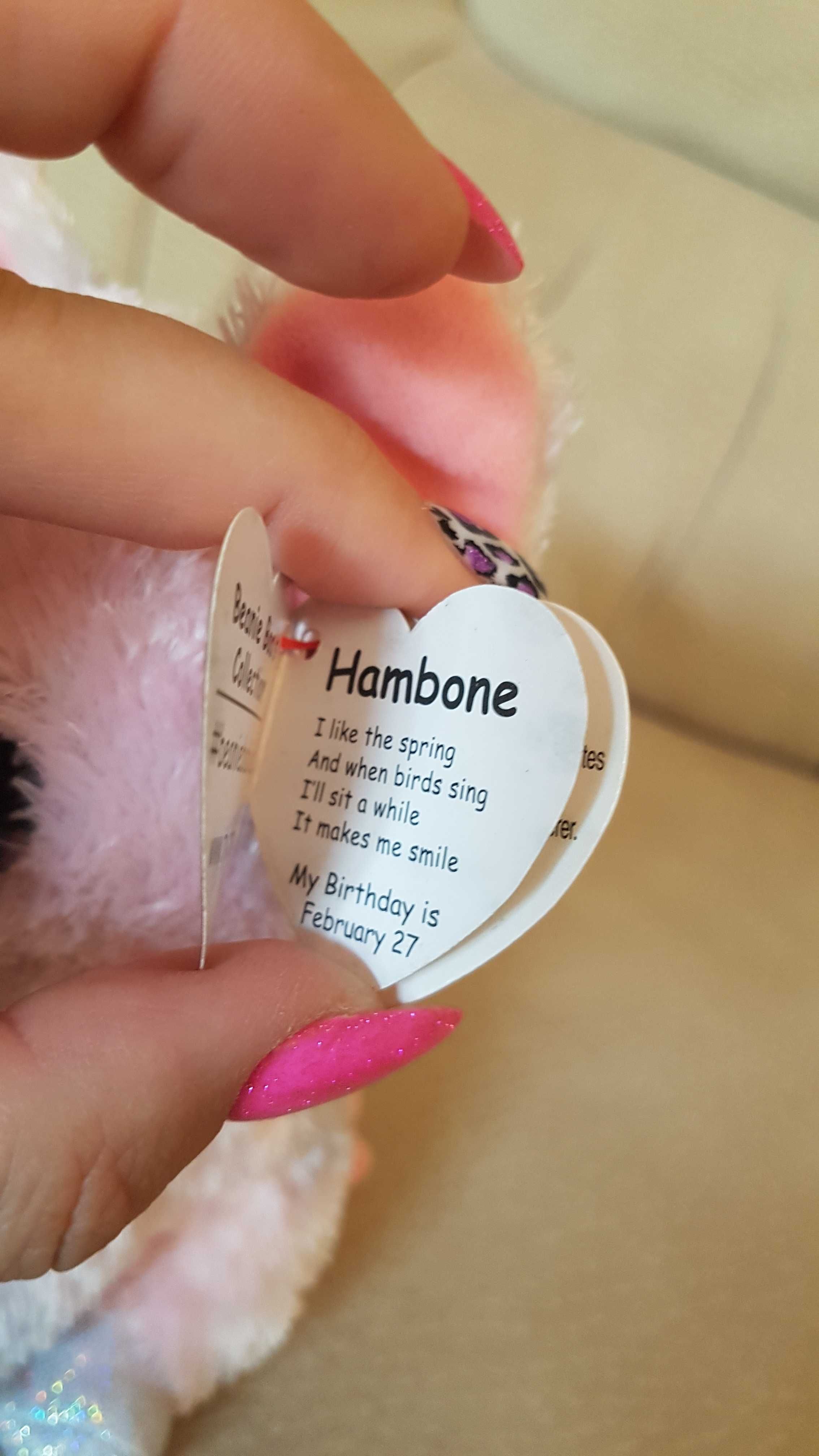 TY Beanie Boos глазастик свинка, поросенок, хрюшка HAMBONE 15 см