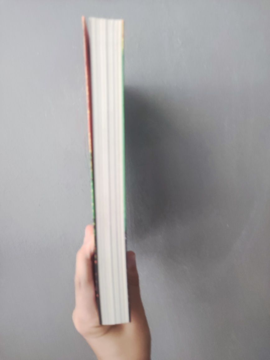 Livro: Stranger Things Lucas em risco oficial