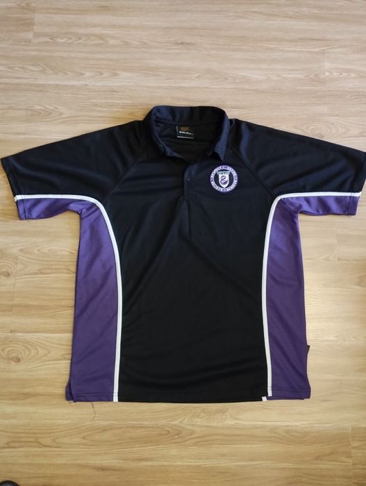 Футболка мужская, Поло мужское Falcon