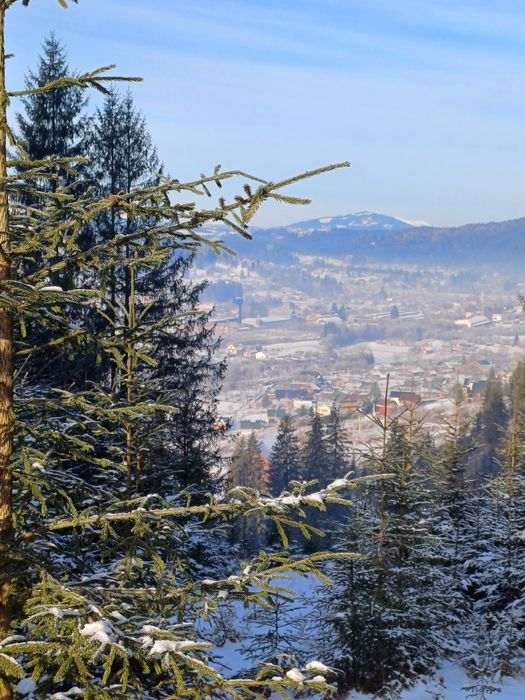 Котедж "Квітуча долина"