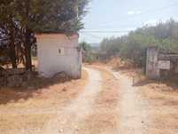 Vende-se Quinta em Alverca da Beira