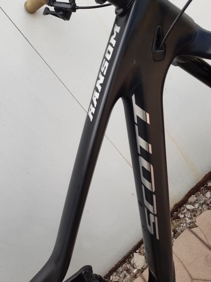 Scott ransom 2022 rozm.M