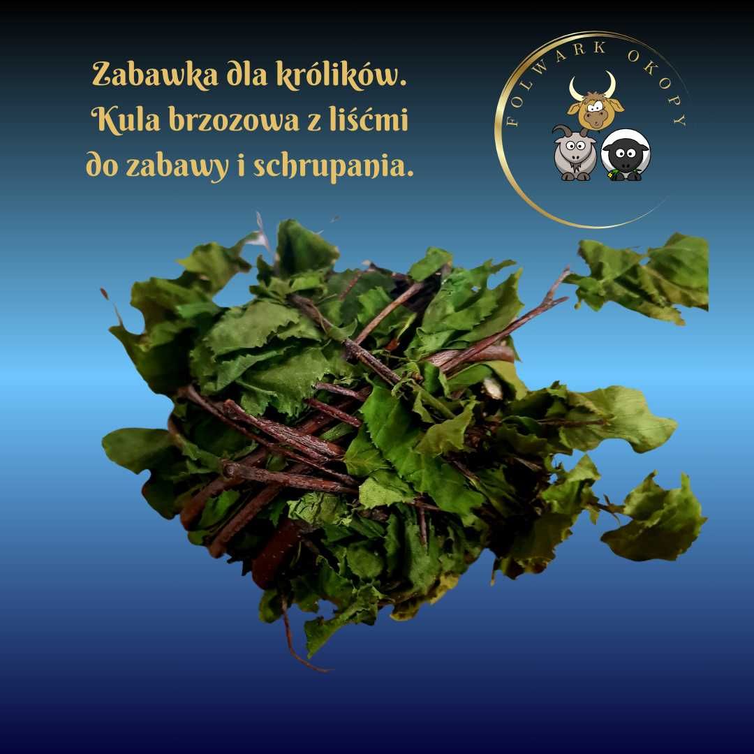 Kula brzozowa z liśćmi 9-10 cm 60g zabawka dla królików Folwark Okopy