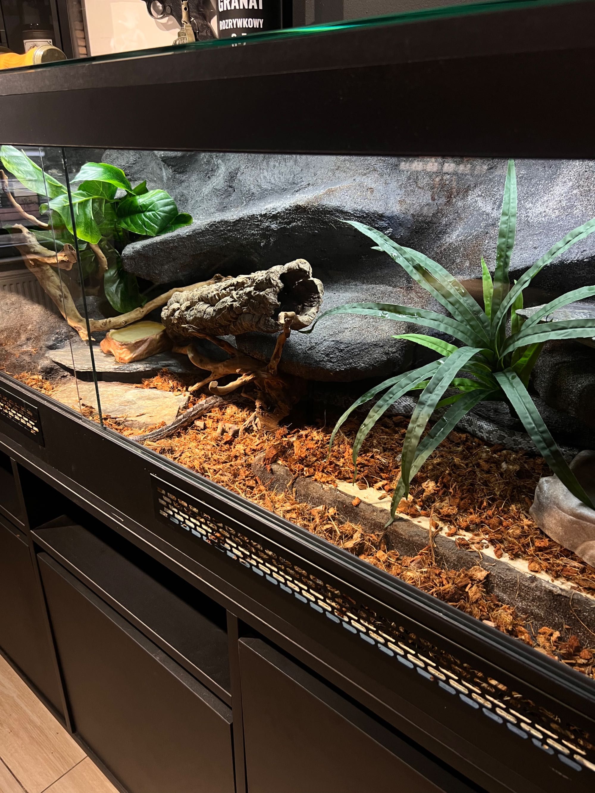 Terrarium dla węża