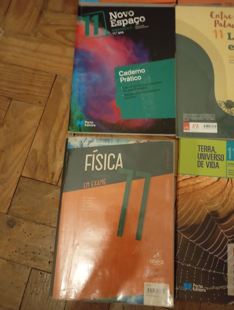 Cadernos de atividades 11°ano