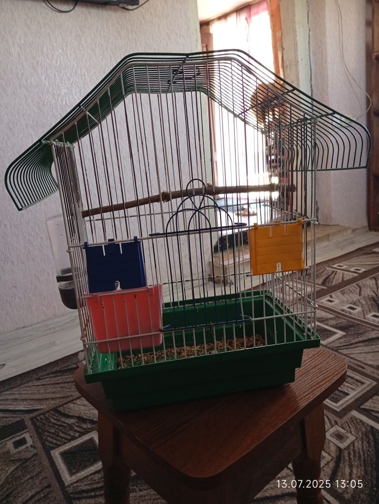 Клітка для папуги