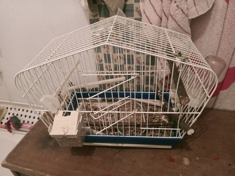 Klatka dla ptaka mała