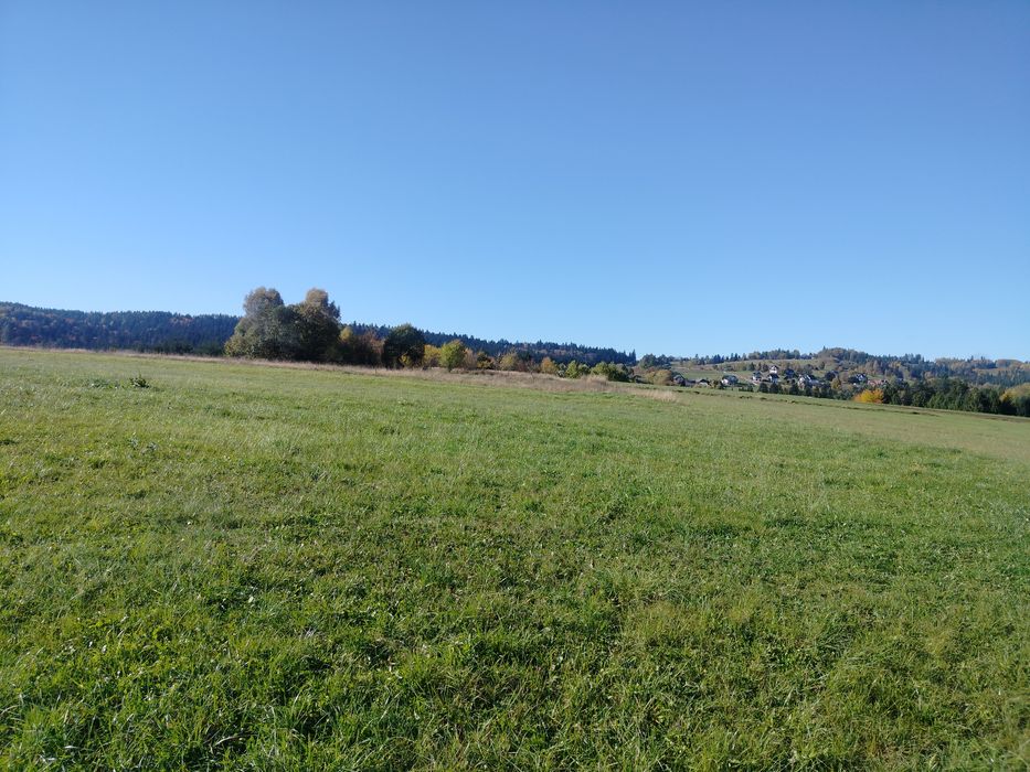 Działka grywałd polna