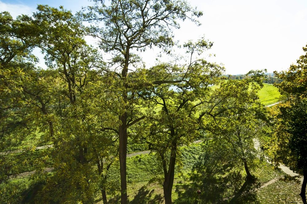 Kawalerka Opole Ul. Spychalskiego