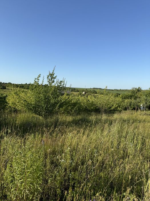 Земельна ділянка на дачному масиві р-н Раково