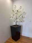 Vaso preto com planta