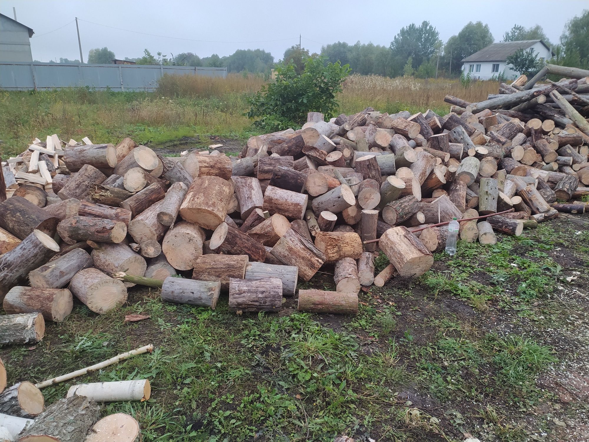 Продам дрова різних порід
