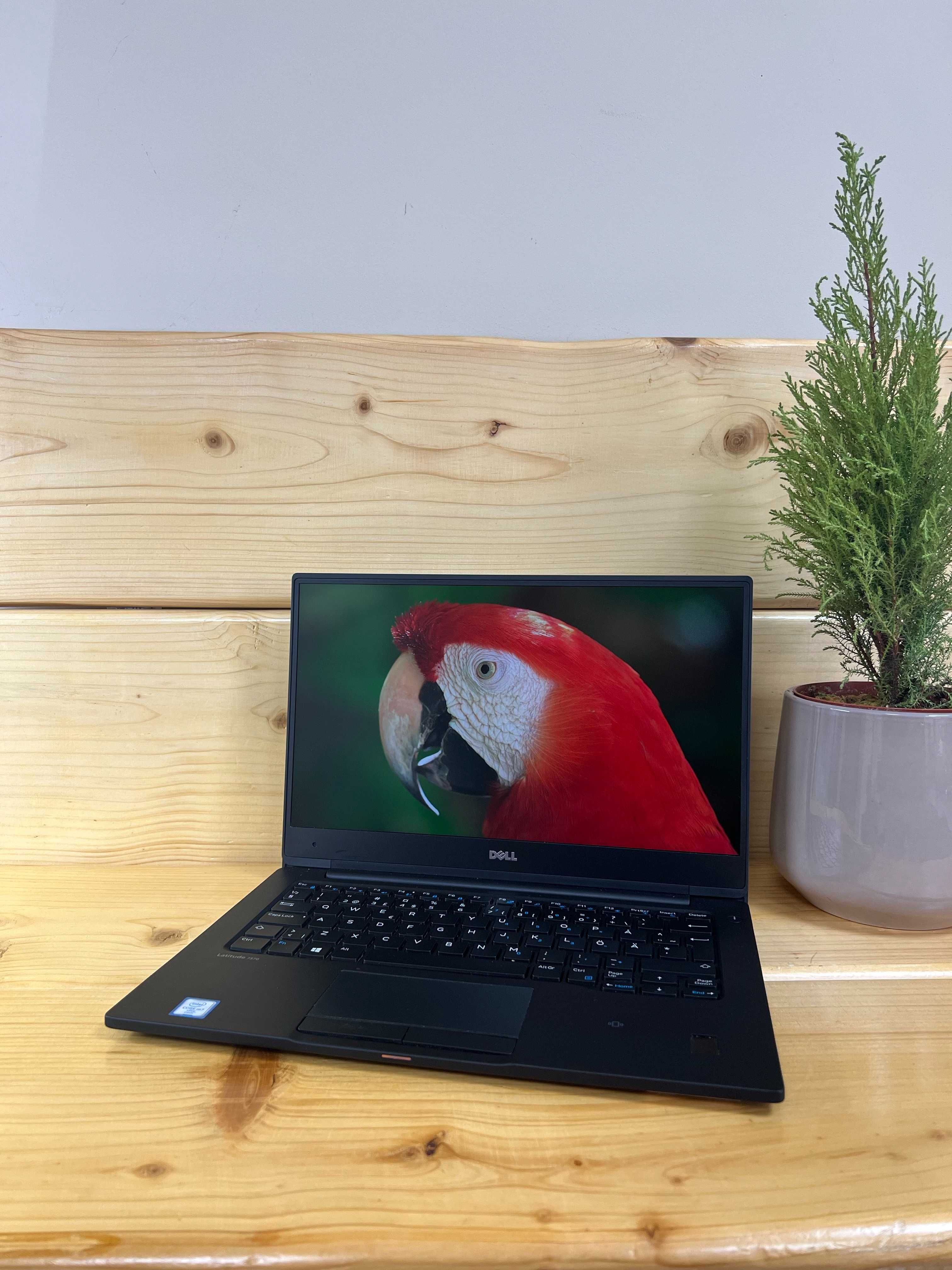 Ноутбук Dell Latitude 7370/m7-6Y75/8+SSD 512/13"IPS/металевий+гарантія