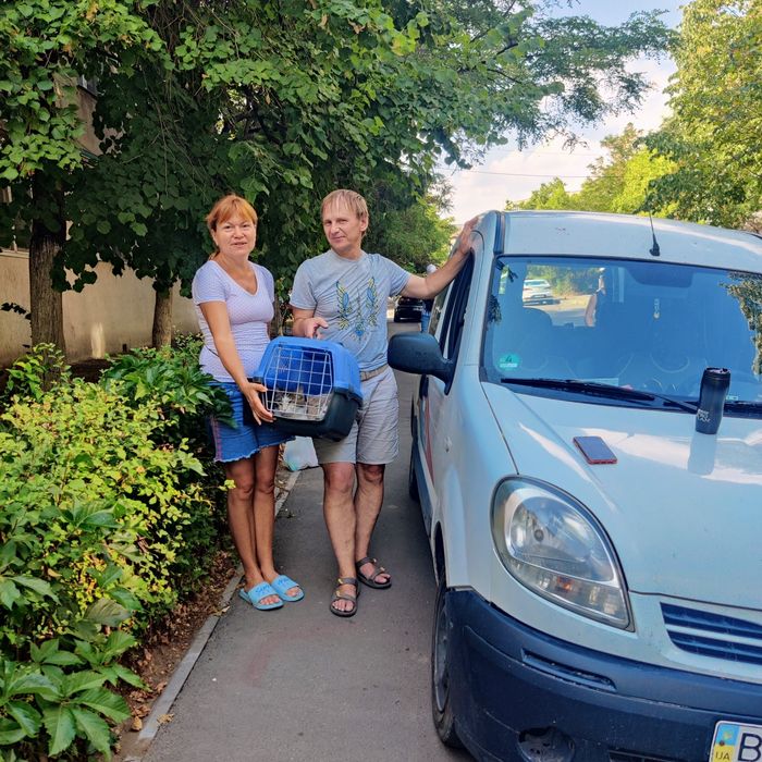 Перевезення тварин в Європу. Кішки собаки
