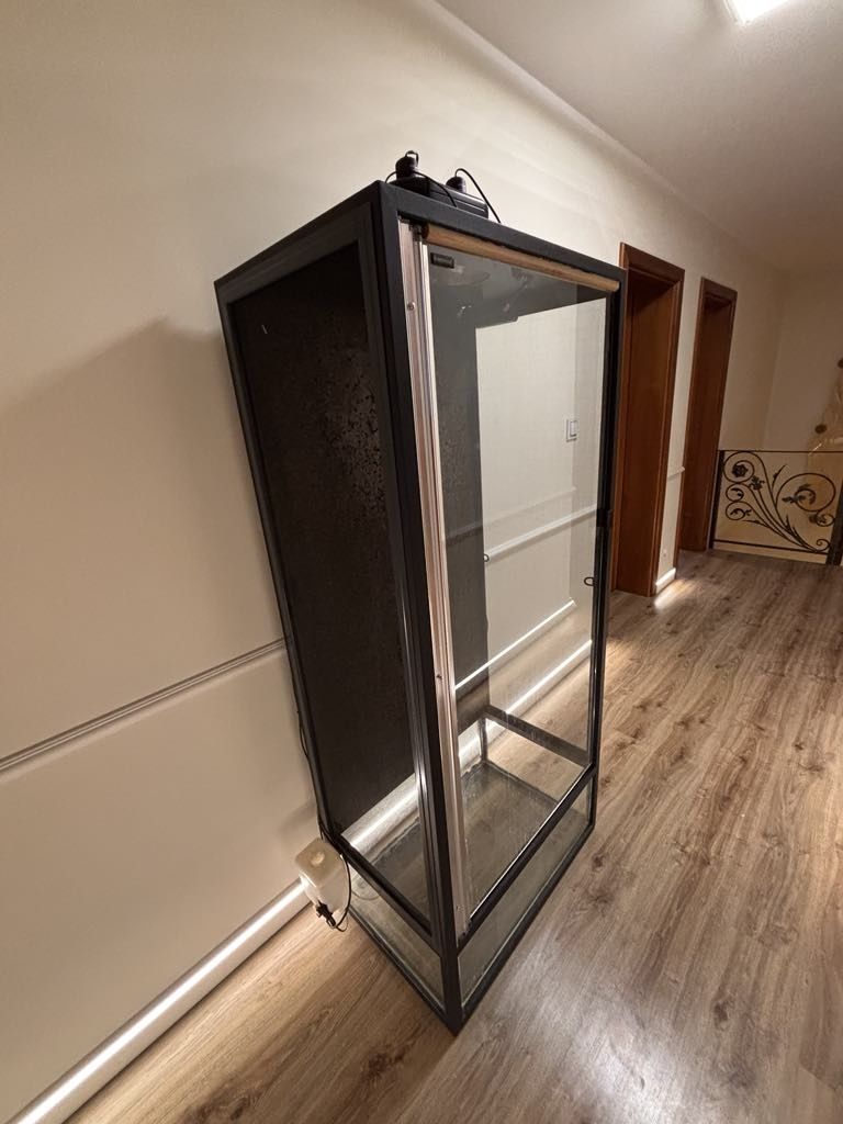 Terarium dla kameleona,felsumy,agamy błotnistej,