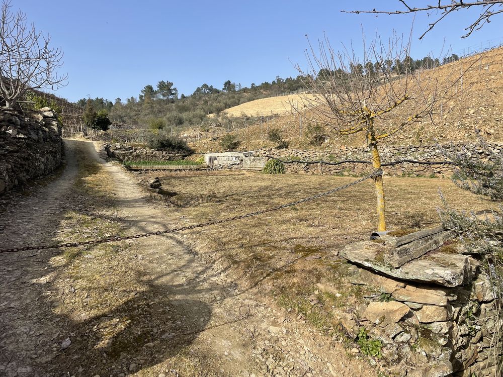 Quinta no coração do douro