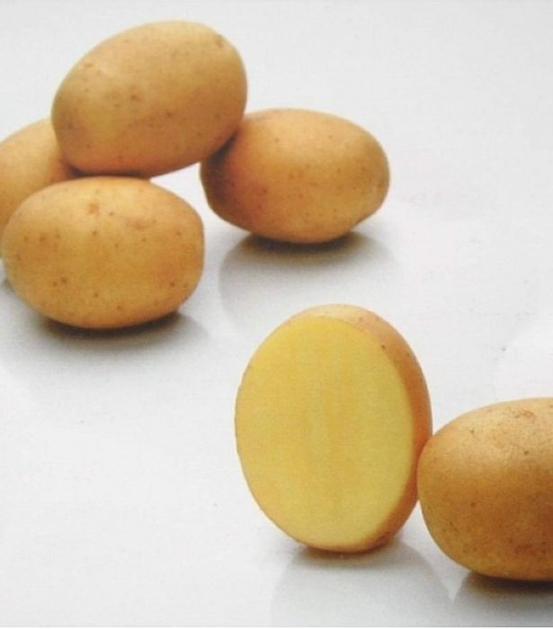 Картопля для їди (бараболя, бульба)