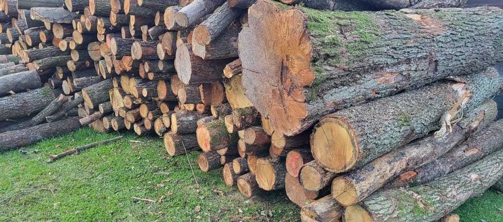 Drzewo drewno kominkowe opałowe wałki grab buk dąb buk brzoza olcha