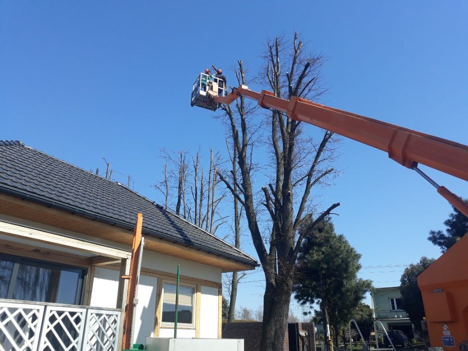 Zwyżka do35m, podnośnik koszowy , podest nożycowy z operatorem lub bez