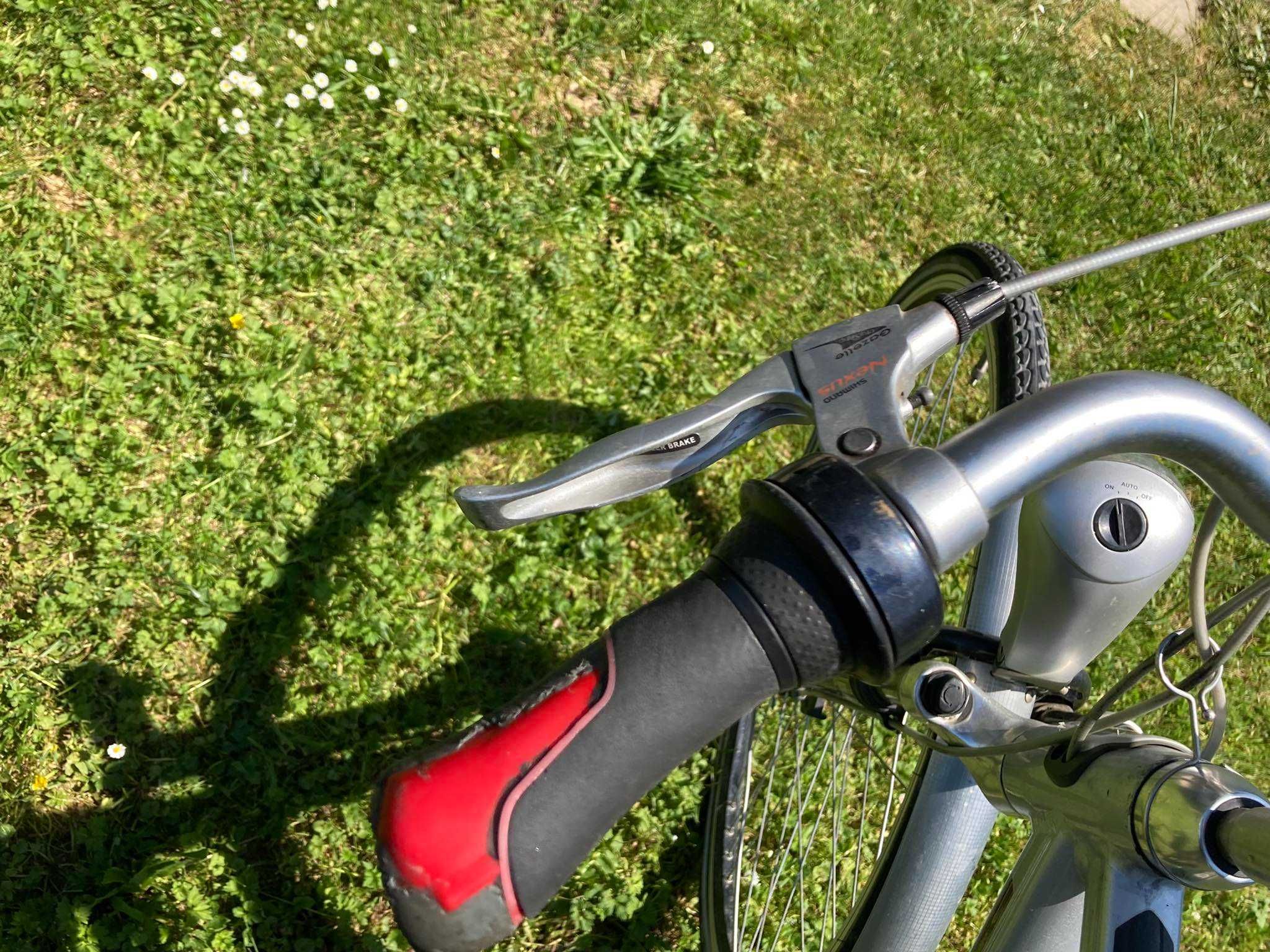rower Gazelle chamonix plus