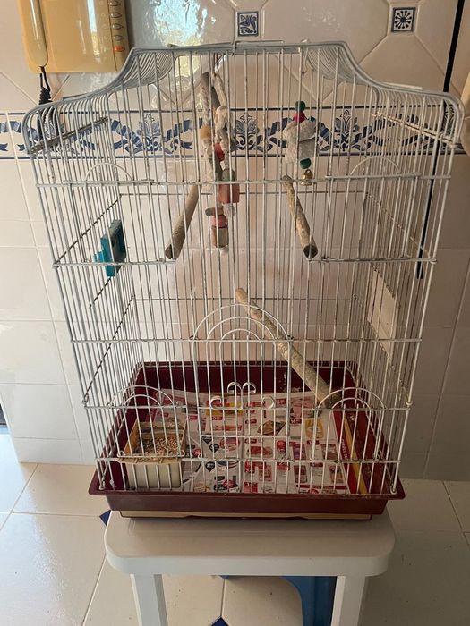 Gaiola grande de Caturras