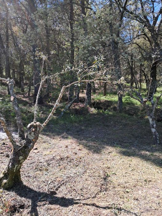 Quinta em São Salvador da Aramenha Marvão Portalegre Alto Alentejo