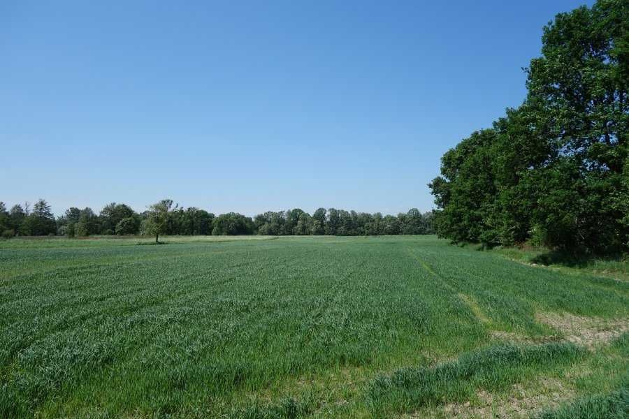 Skoczów Ochaby 57ar pod kamping altanke strzelnice może być pod staw