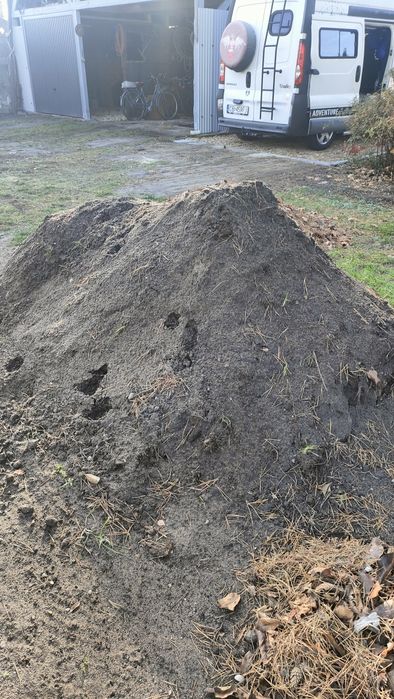 Oddam ziemie za darmo