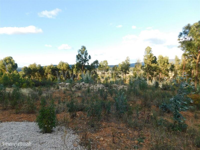 Terreno Rústico / Fundão, Quintas da Torre