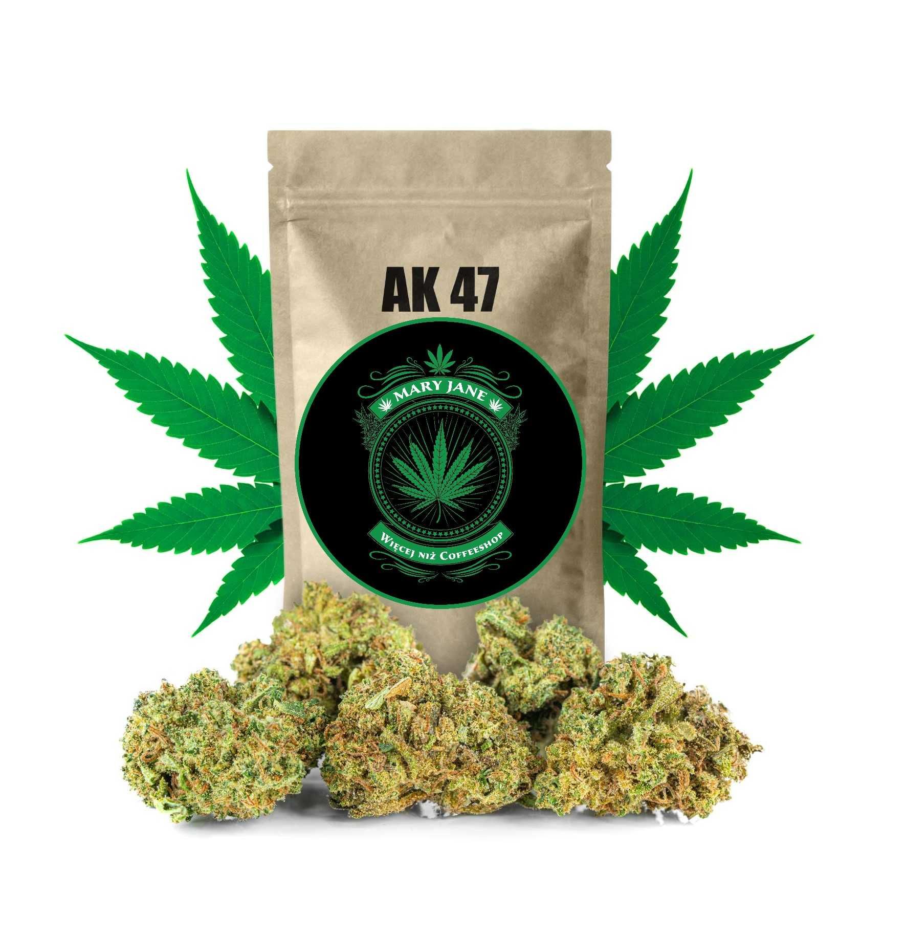 Sklep Mary Jane | AK 47 do 29% CBD - Legalny Susz Konopny | 2 gramy