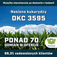 Kukurydza DKC 3595 F1, opak. 50 tys.n. | dlaroslin.pl