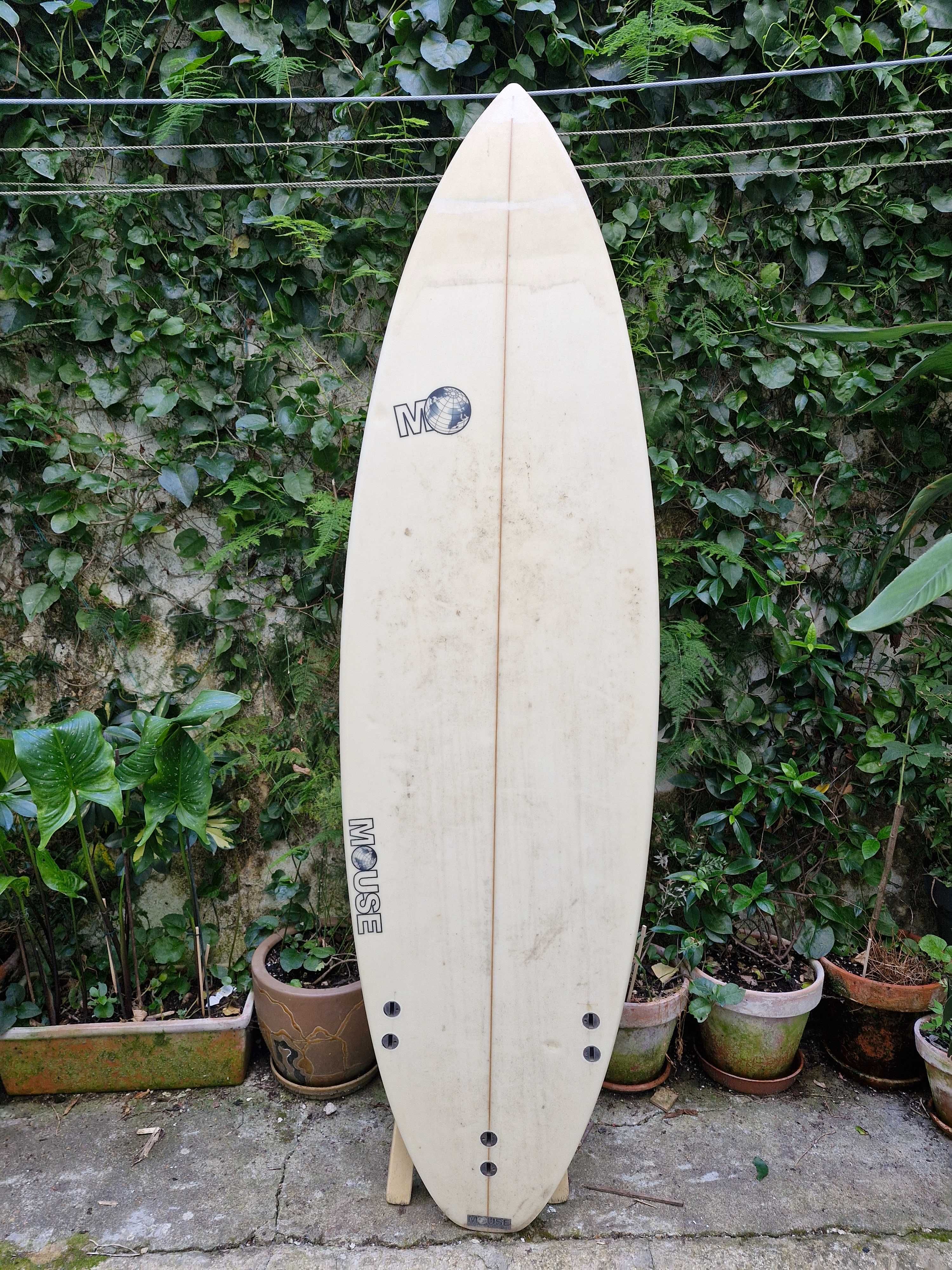 Prancha de surf para iniciantes 6.0