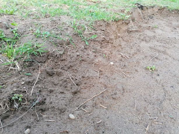 Ziemia  humus gleba