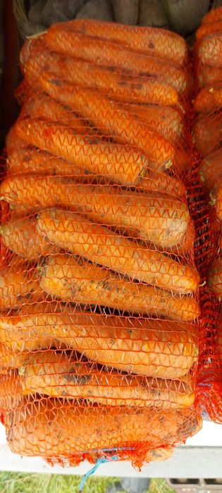 Продам моркву буряк цибулю картоплю капусту