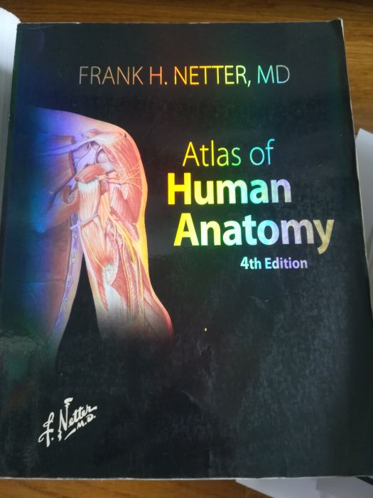 Atlas de Anatomia Netter 4a edição