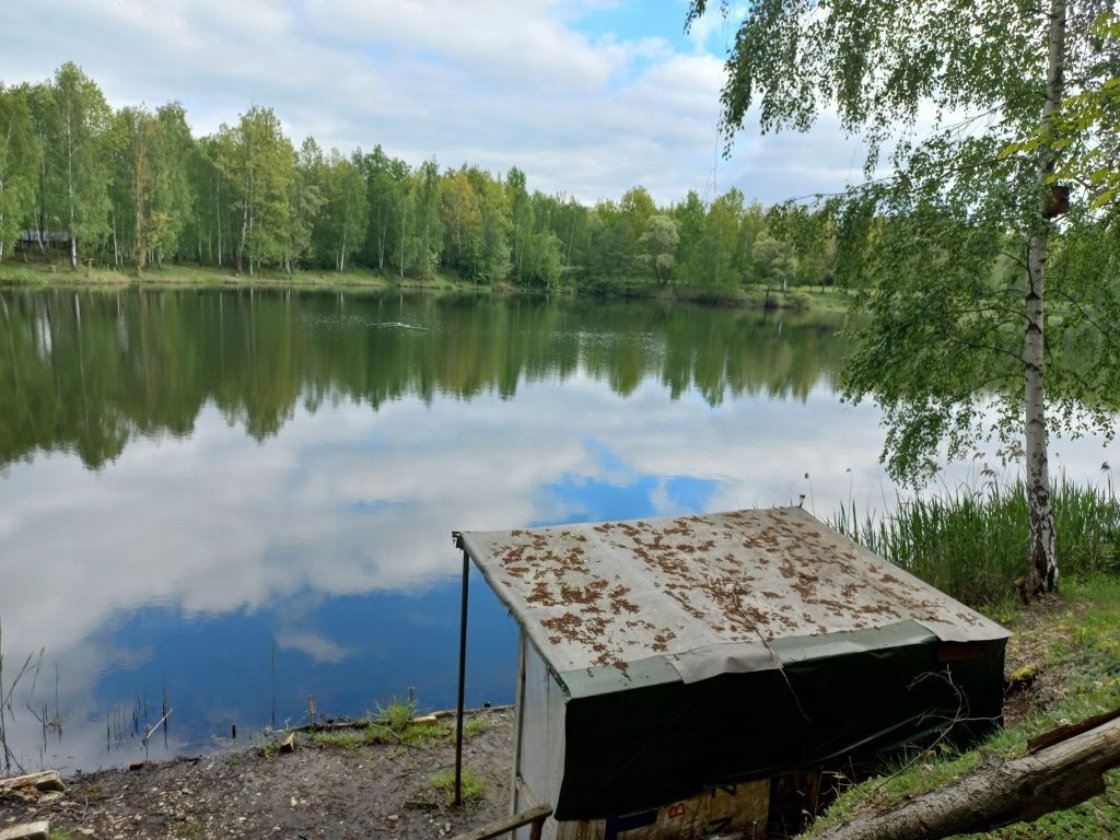 Działka rekreacyjna z domkiem w doskonałej lokalizacji nad stawami!