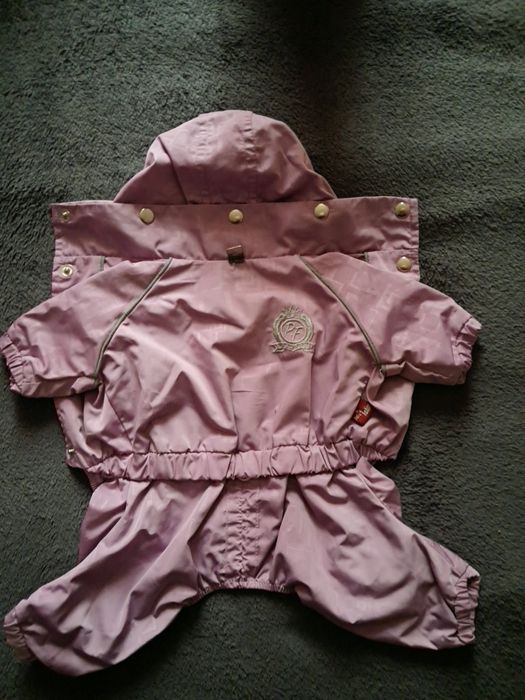 Одежда для маленьких собак.