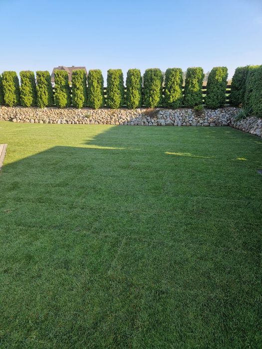 40m² trawy z rolki+transport – plantacja