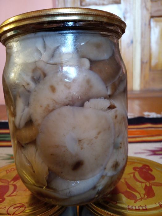 Продам мариновані опеньки