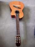 Viola aria AC25CE