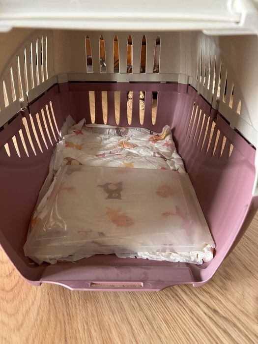 Caixa transporte gato