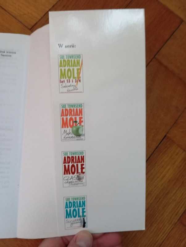 Adrian Mole i broń masowego rażenia - Się Townsend