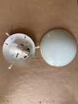 Pladon scienny 25 cm