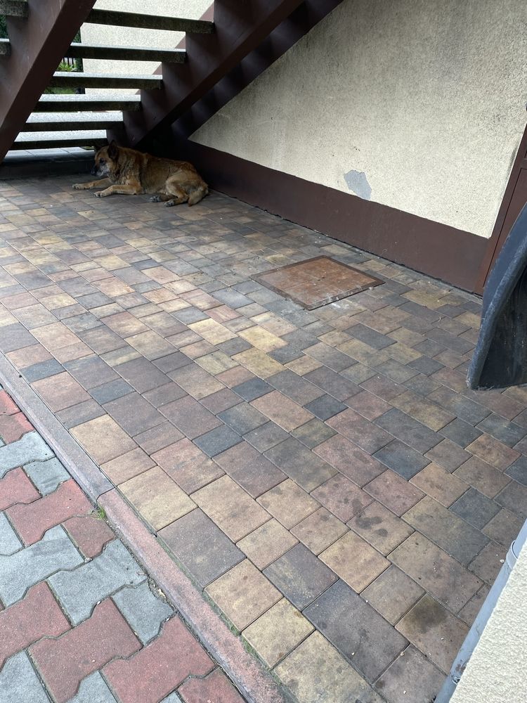 Mycie kostki brukowej i elewacji