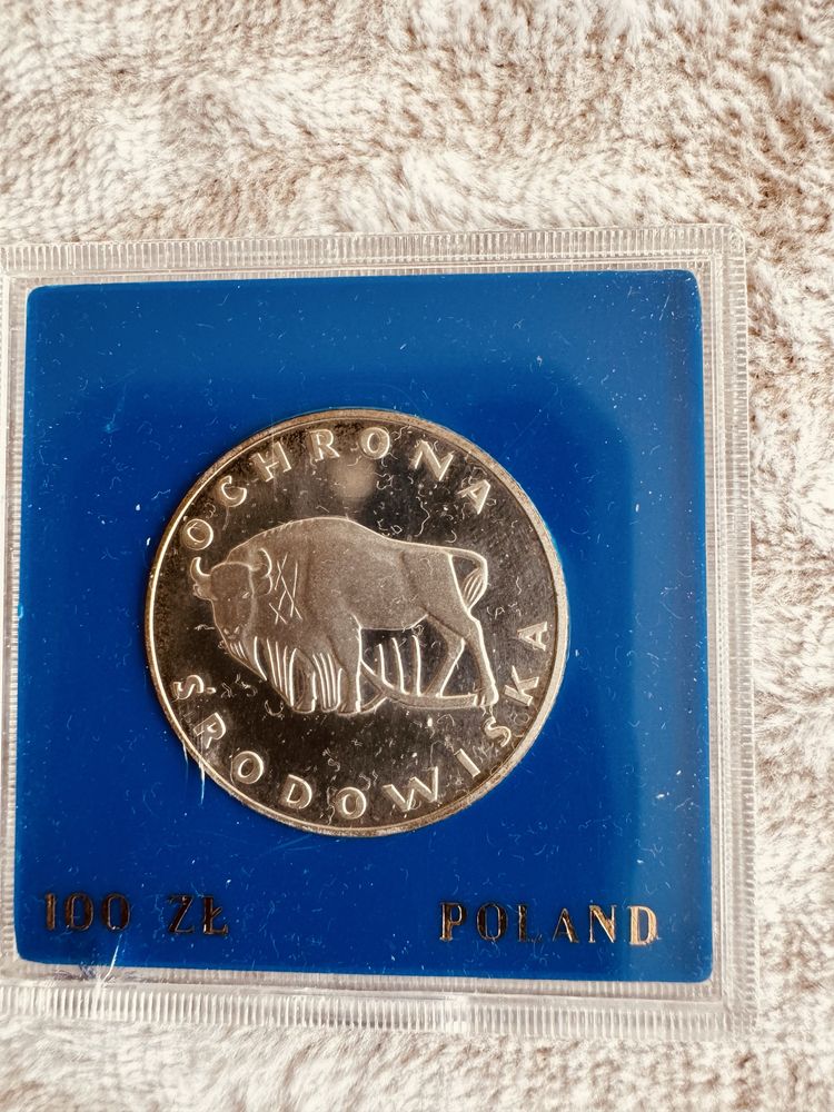 Moneta srebrna 100 zł 1977 Żubr
