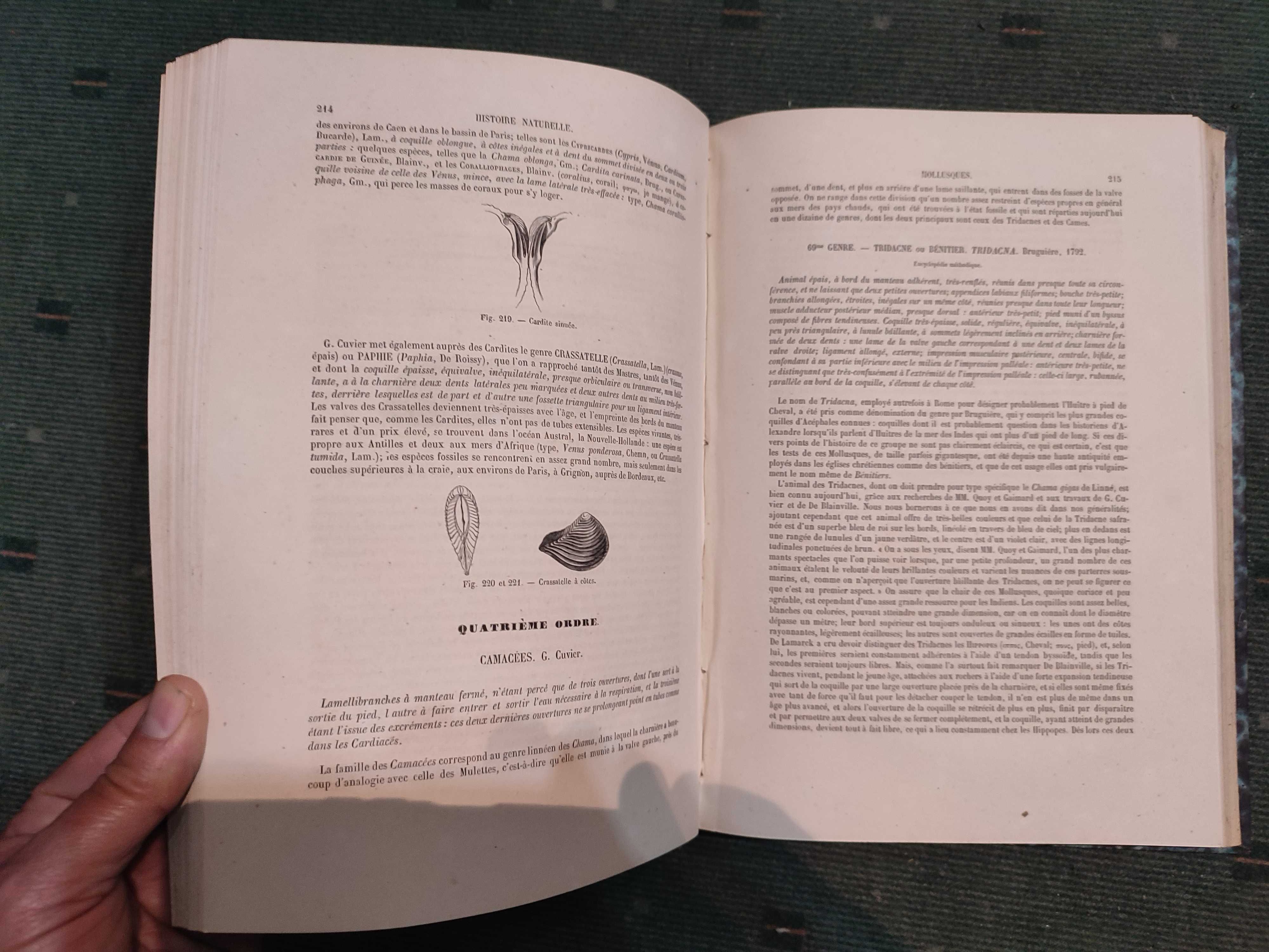 Encyclopédie D'Histoire Naturelle Traité Complet-Crustaces, Moll, Zoop