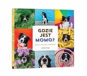 Gdzie jest Momo. Api Papi
