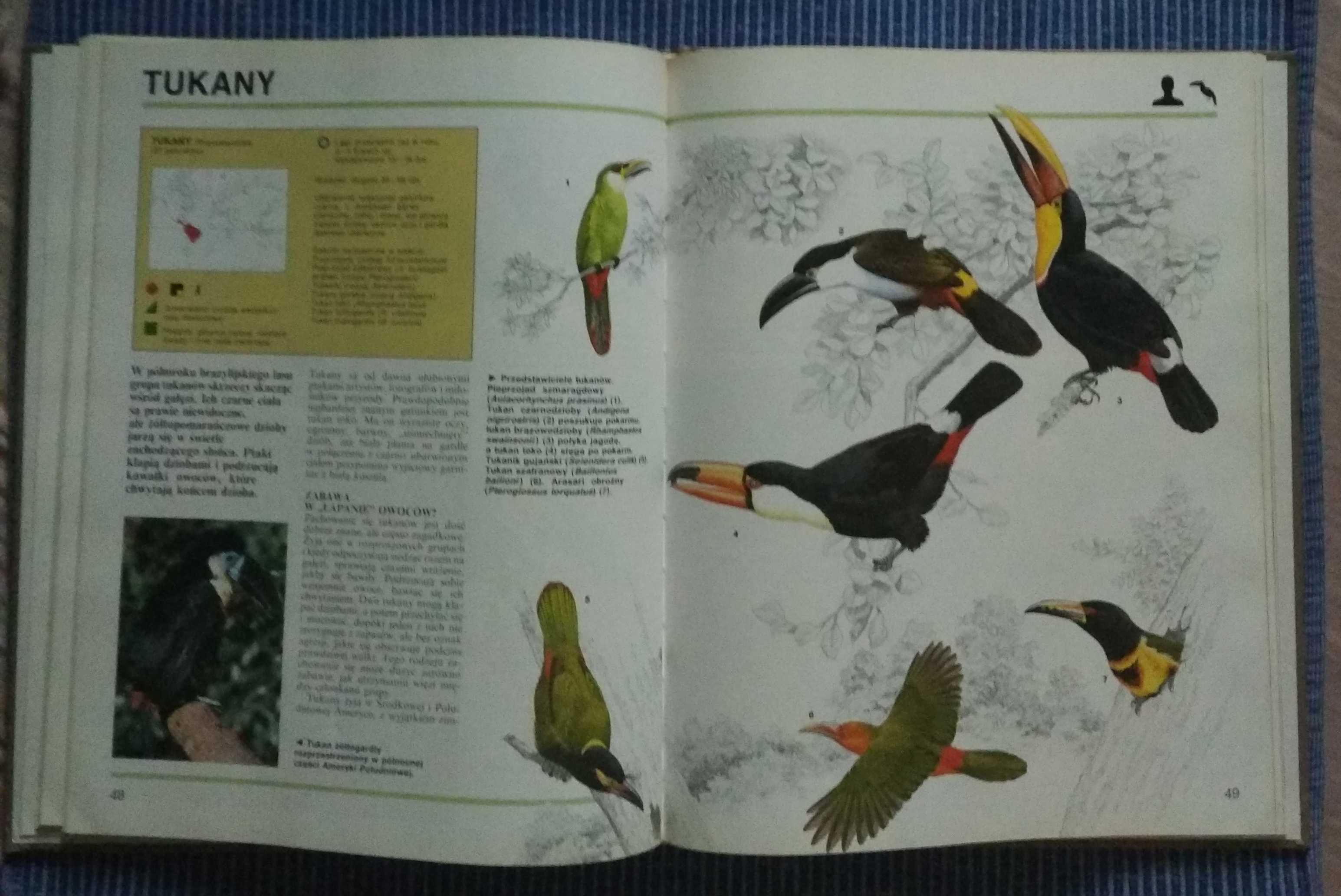 Encyklopedia: Ptaki roślinożerne i ziarnojady