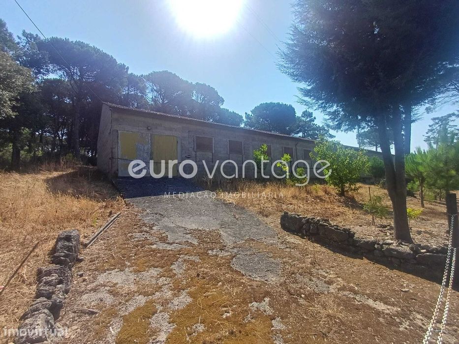 Pavilhão Amplo destinado a Aviario