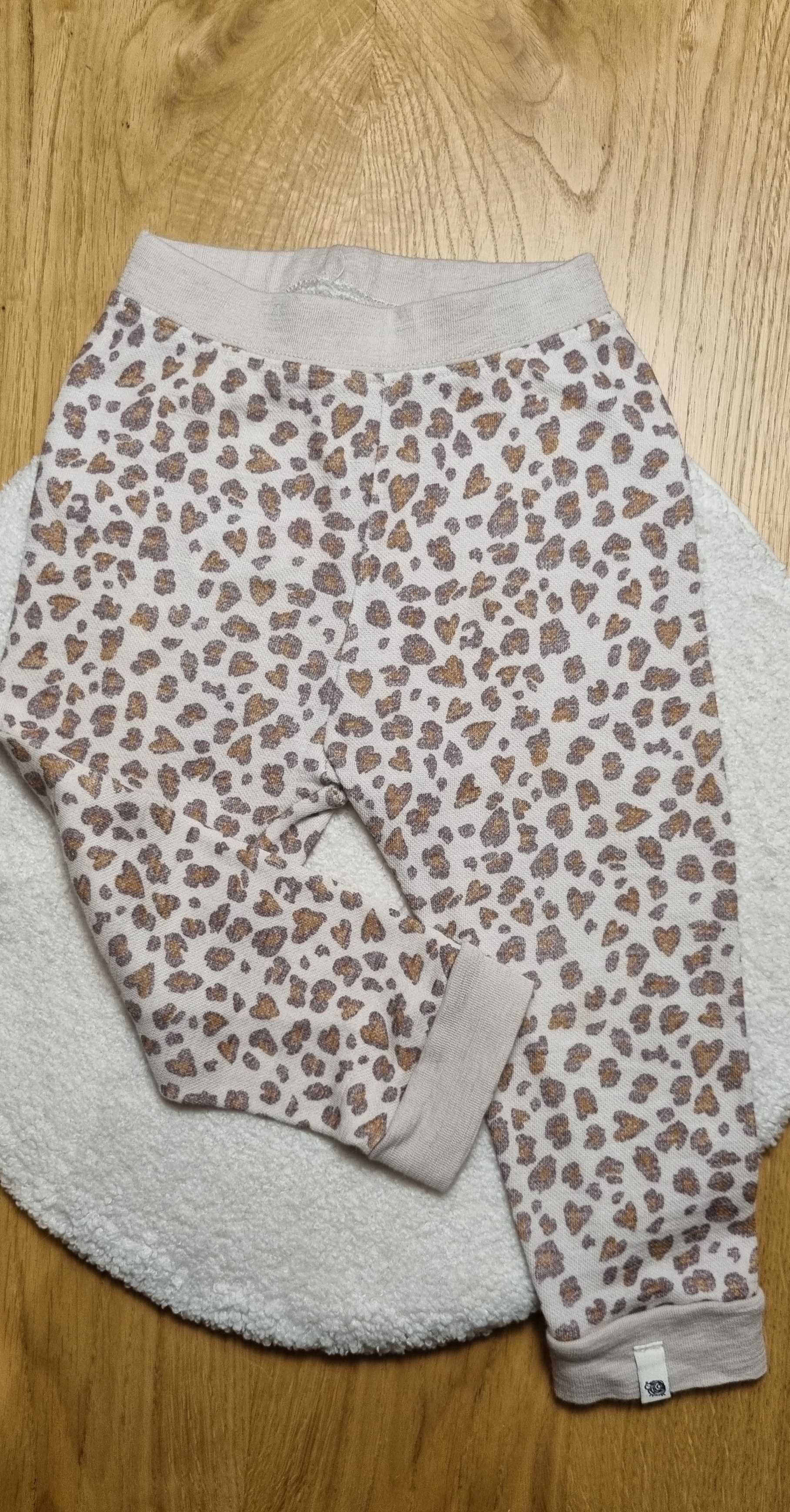 Spodnie legginsy wełniane Cubus 74 do 80 panterka jak Reflex Reima